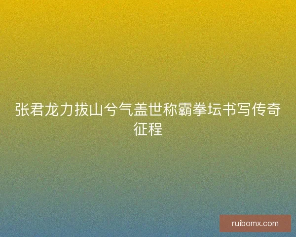 张君龙力拔山兮气盖世称霸拳坛书写传奇征程